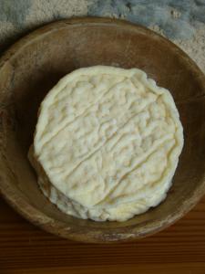 Fromage Type Saint Marcellin affiné