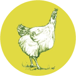 Gigolette de poulet désossée ( haut de cuisse)