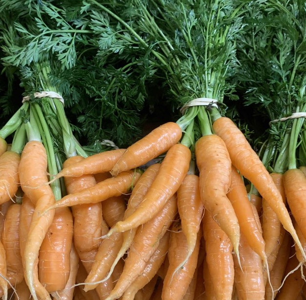carotte botte 0.500g