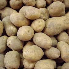 Pommes de terre chair ferme bio