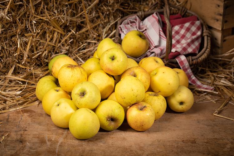 Pomme BIO GOLDEN des Vergers des Savoies, sac de 5 kg, 2.50 ¤/kg