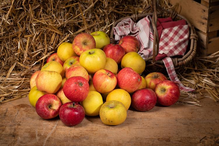 Pommes BIO des Vergers des Savoies, sac de 5 kg mélange de 3 variétés, 2.50 ¤/kg