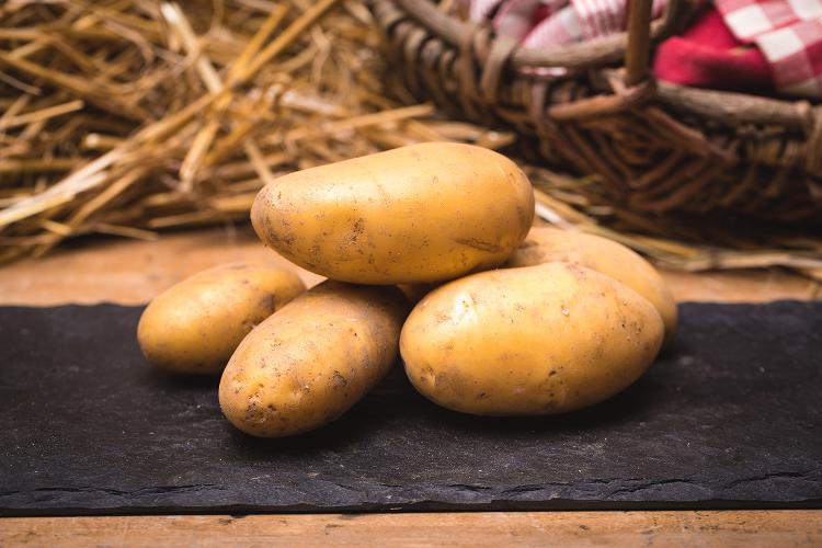 Pommes de terre  récolte 2022 de l'EARL de Nouère