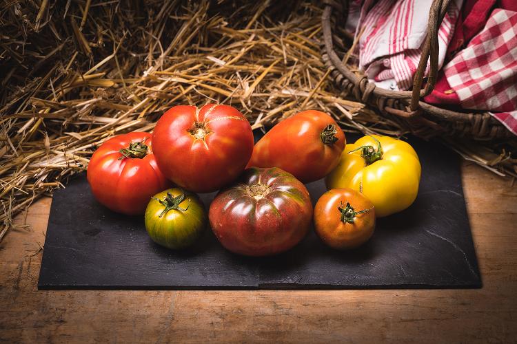 Tomates anciennes de l'EARL de NOUERE