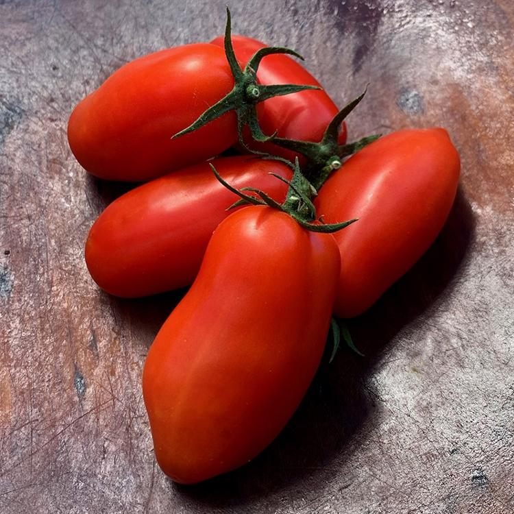 Tomate San Marzano Bio de la Ferme du Plantis