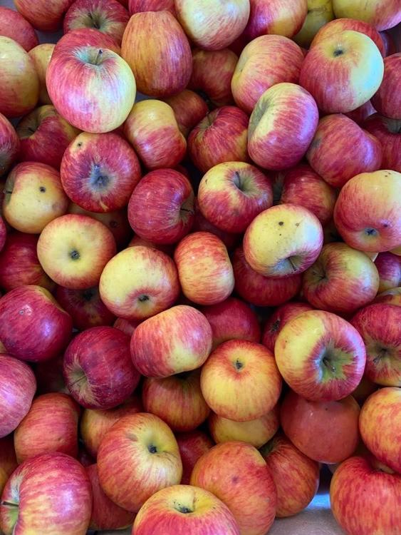 Pommes BIO TOPAZE des Vergers des Savoies, acidulée, sucrée, croquante