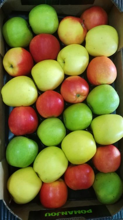 plateau de pommes variétés mélangées