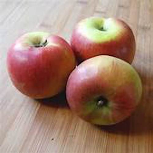 Pommes Melrose  2 Kg