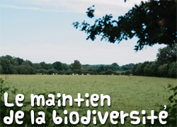 Le maintien de la biodiversité