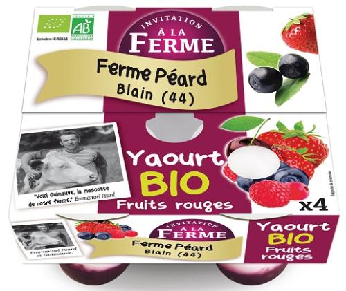 Yaourt Bio aux Fruits rouges 4x125g