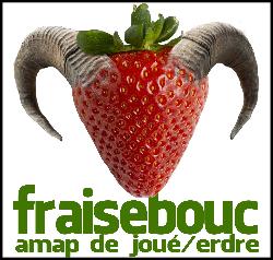 AMAP Fraisebouc