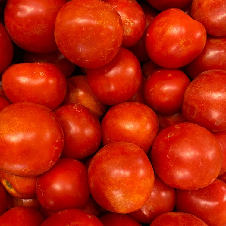 Tomates rondes 500g