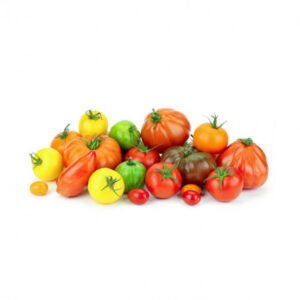 Mélange de tomates (rondes, cotelées, allongées) - 1kg- cat 1 - origine FRANCE