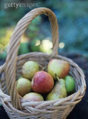 Lancement de l'AMAP pommes, poires et jus