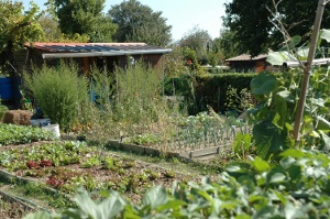 Salon des jardiniers de Nantes Nord