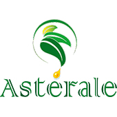 HELICHRYSE FEMELLE asterale
