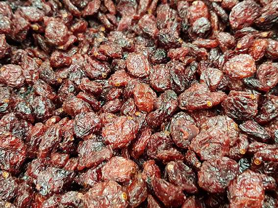 Cranberries - vrac