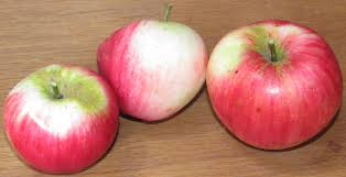 Pommes sucrées bio du moment 1kg environ. Origine : Meuse ou Alsace