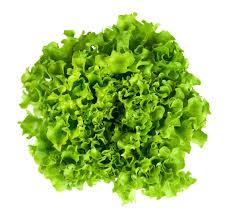 Salade Batavia rouge ou verte (sous réserve) 1 Pièce