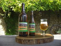 Bière artisanale La Doncourt, Blondinette (5.2%). Pack de 12 X 33 Cl
