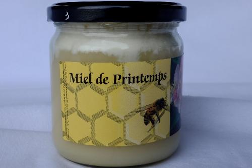 Miel Frais de printemps 2023 500g (Pissenlit, Arbres fruitiers)
