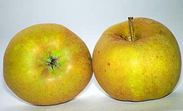 Pommes Reinettes Grises 2.5kg (idéales en tartes)-TONA Laurent- retiré