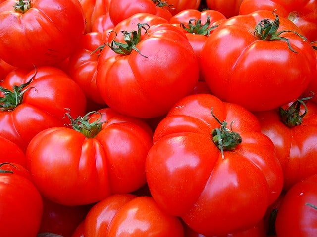 Tomate améliorée de Montlhéry