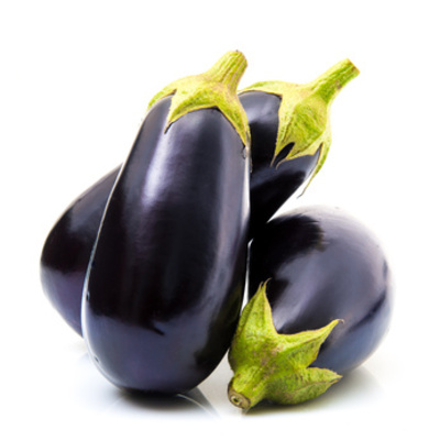 aubergine black beauty