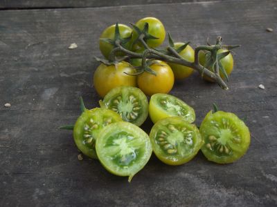 Tomate cerise raisin vert
