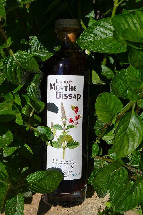 Liqueur de Menthe Bissap / 50 cl-Distillerie Moby Dick- retiré