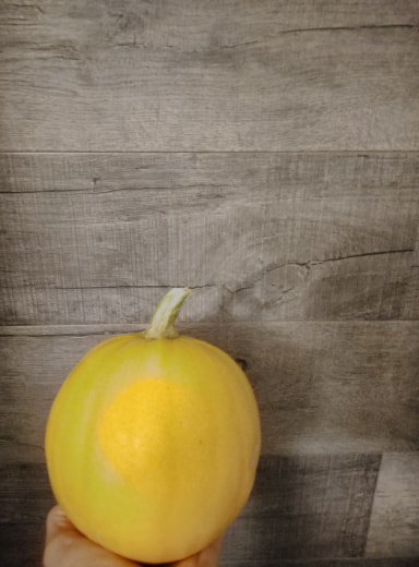 Melonette Jaspée de Vendée  1 à 1,2kg (Doudoutière)