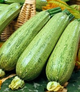 Courgette Nimba - Godet