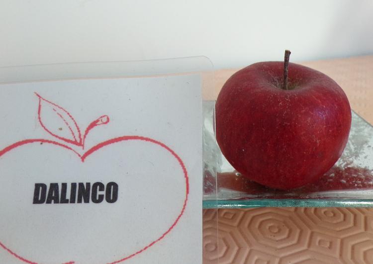 Pomme DALINCO 5 kgs