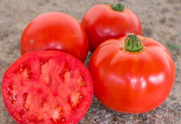 Tomate Merveille des Marchés - Motte