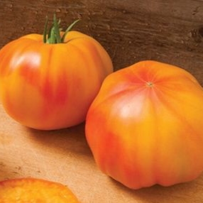 Tomate originale "Margold"