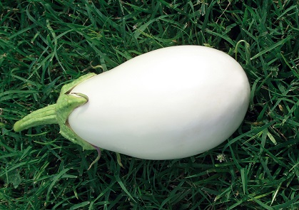 aubergine blanche