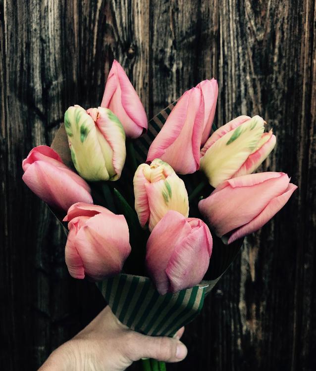 Bouquet de saison - 10 Tulipes