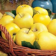 Pommes Golden jaune produit local de Françoise