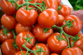 Tomates grappes de France de Françoise