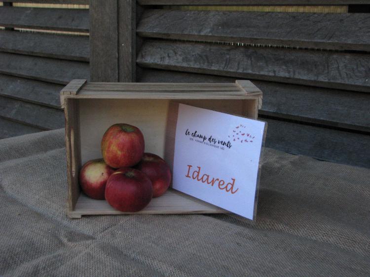 Pommes variétés 'Idared'