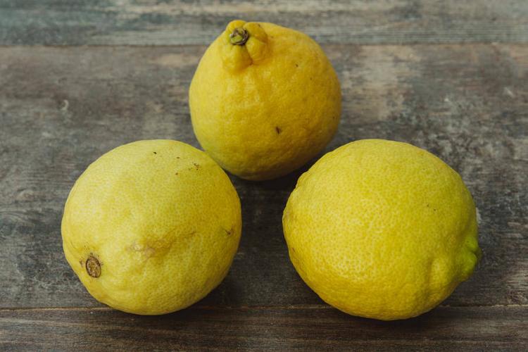 Citron jaune Verdelli