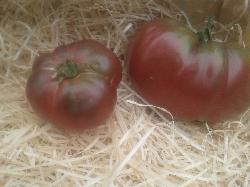 Tomates anciennes : noire de Crimée