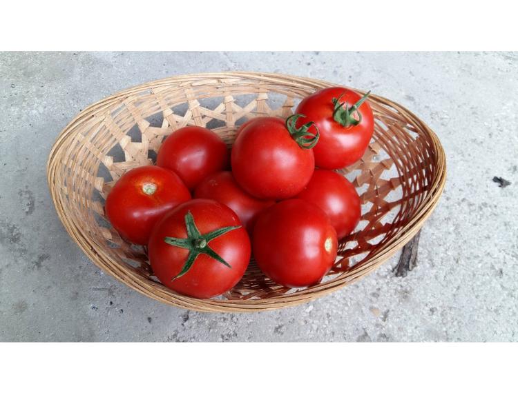 Tomates Rondes - 1kg