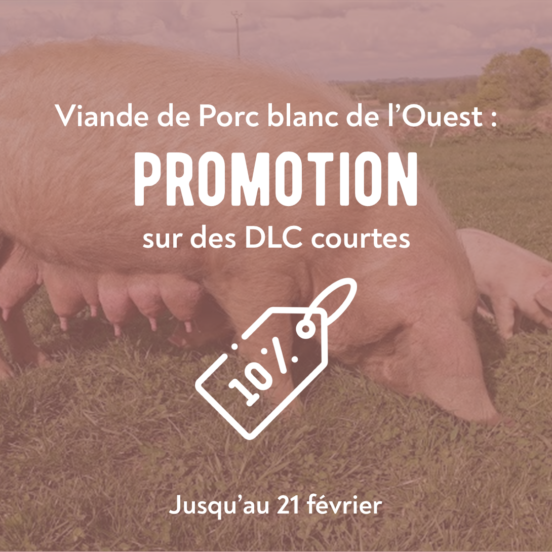 Promotion sur la viande de Porc Blanc de l'Ouest