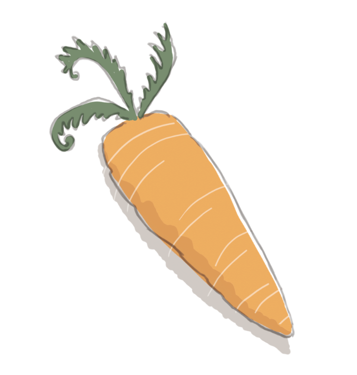 carottes jaune par 2kg