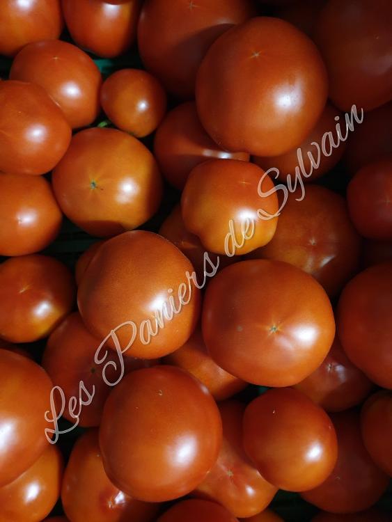 Tomates - Agriculture Biologique