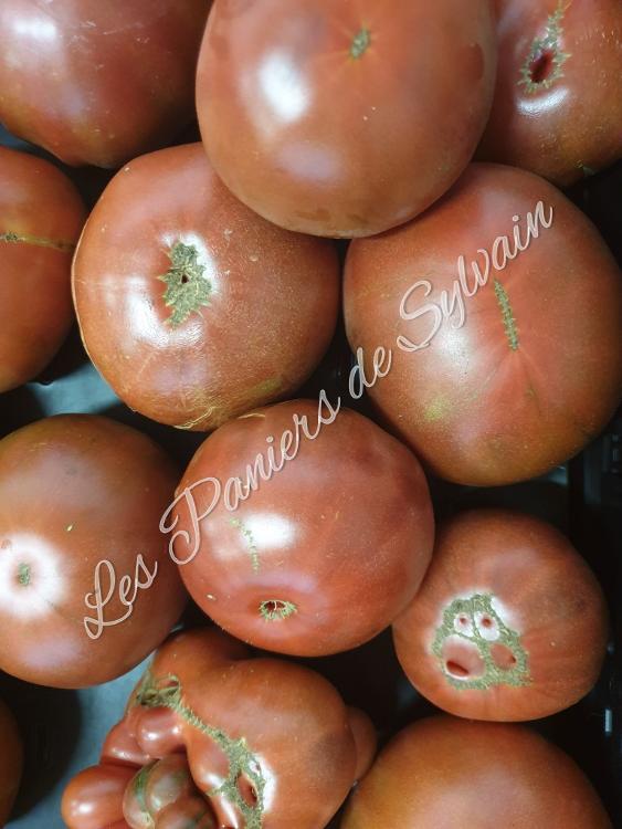 Tomate Noire de Crimée - Agriculture Biologique
