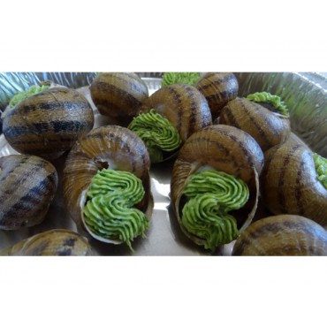 Assiette Escargots Coquilles Beurrées Persillées avec ail