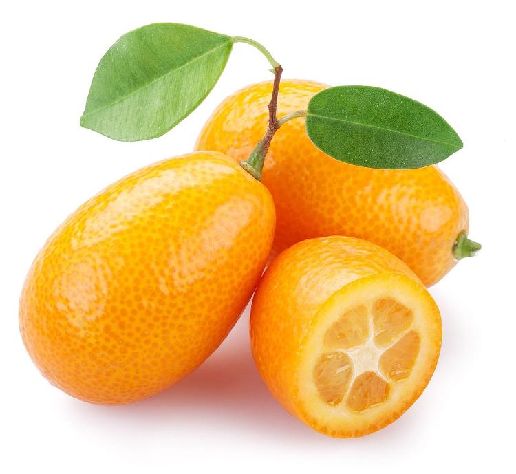 Kumquat (GAL)