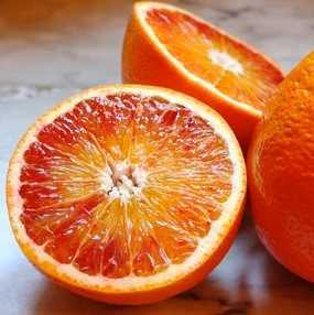 Orange Sanguine Tarocco (GAL)